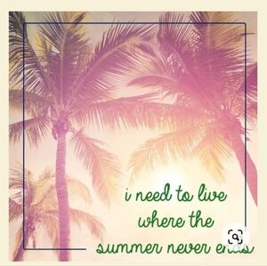 🦩SUMMER SALE ☀️